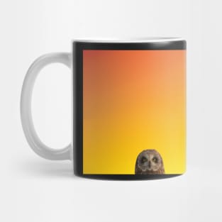 Owl Rise Mug